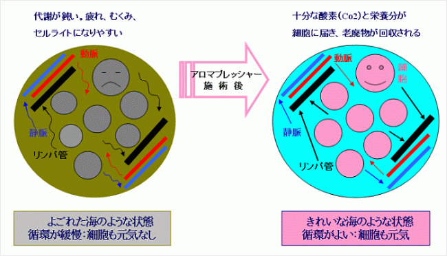 アンチエイジングとアロマプレッシャーテクニック